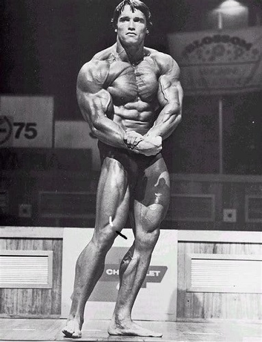 Arnold Olympia 1975